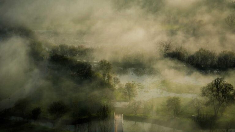 What Types Of Games Are Available On 99 Exch Game?